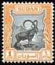 Colnect-1241-594-Nubian-ibex-Capra-nubiana.jpg