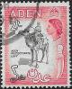 Colnect-2913-590-Aden-Protectorate-Levy.jpg