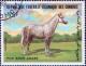 Colnect-3124-087-Arabian-Equus-ferus-caballus.jpg