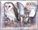 Colnect-3669-348-Western-Barn-Owl%C2%A0Tyto-alba.jpg