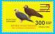 Colnect-4484-511-2017-Surcharges-on-2012-Birds-of-South-Sudan-Stamp.jpg