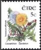 Colnect-1718-924-Dandelion--Taraxacum-officinale.jpg