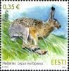 Colnect-3931-641-European-Hare-Lepus-europaeus.jpg