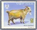 Colnect-1627-656-Domestic-Goat-Capra-aegagrus-hircus.jpg