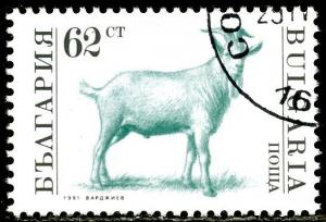 Colnect-1429-487-Goat-Capra-hircus.jpg