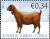 Colnect-5159-158-Domestic-Goat-Capra-aegagrus-hircus.jpg