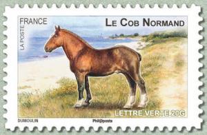 Colnect-1527-773-Norman-Cob-Equus-ferus-caballus.jpg