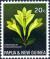 Colnect-6326-753-Dendrobium-pseudofrigidum.jpg