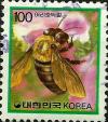 Colnect-2770-780-Carpenter-Bee-Xylocopa-Appendiculata-circumvolans.jpg