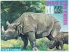 Colnect-2926-058-Indian-Rhinoceros-Rhinoceros-unicornis.jpg