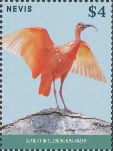 Colnect-4412-947-Scarlet-Ibis-Eudocimus-ruber--wings-outstretched.jpg