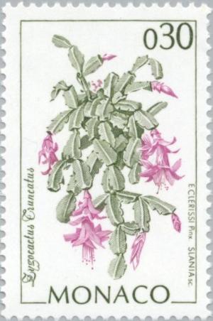 Colnect-149-661-Zygocactus-truncatus.jpg