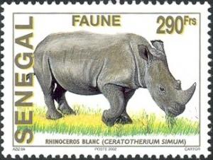 Colnect-1618-837-White-Rhinoceros-Ceratotherium-simum.jpg