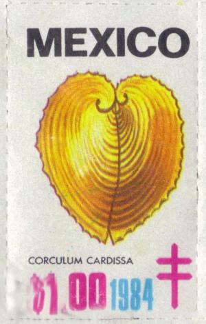 Colnect-2207-043-Heart-cockle-Corculum-cardissa.jpg