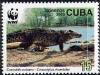 Colnect-1458-986-Cuban-Crocodile-Crocodylus-rhombifer.jpg