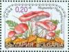 Colnect-1818-287-Purple-Woodwax-Hygrophorus-Russula.jpg