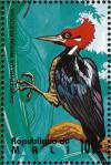 Colnect-2376-009-Crimson-crested-Woodpecker-Campephilus-melanoleucos.jpg
