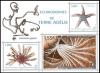 Colnect-4600-849-Echinoderms-of-Adelie-Land.jpg