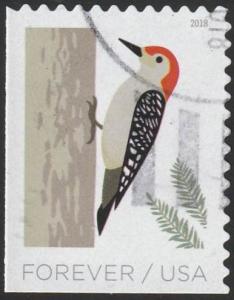 Colnect-5291-412-Red-bellied-Woodpecker-Melanerpes-carolinus.jpg