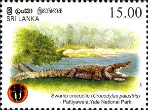 Colnect-2409-559-Swamp-Crocodile-Crocodylus-palustris.jpg
