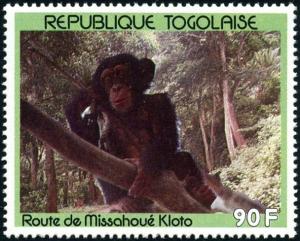 Colnect-2679-014-Chimpanzee-Pan-troglodytes-at-the-Route-Missahou%C3%A9-Kloto.jpg