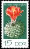 Colnect-1979-188-Parodia-sanguiniflora.jpg