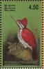 Colnect-2543-527-Red-backed-Woodpecker-Dinopium-benghalense.jpg