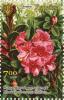 Colnect-5395-681-Rhododendron-myrtifolium.jpg