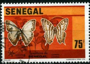 Colnect-1394-680-Common-Glider-Cymathoe-caenis-African-Map-Butterfly-Cyre.jpg