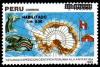 Colnect-1662-186-Map-of-Antarctica-Whale.jpg