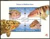 Colnect-3450-116-Fish-of-the-Mediterranean.jpg