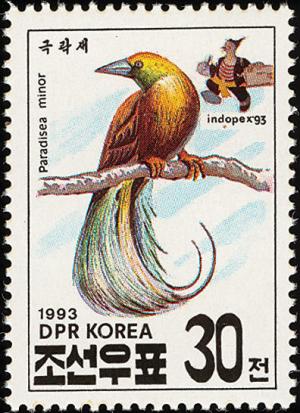 Colnect-1614-823-Lesser-Bird-of-paradise-Paradisaea-minor.jpg