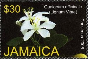 Colnect-770-795-Guaiacum-officinale-Lignum-Vitae.jpg