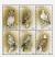 Colnect-1641-840-Birds-of-Prey---MiNo-2271-76.jpg
