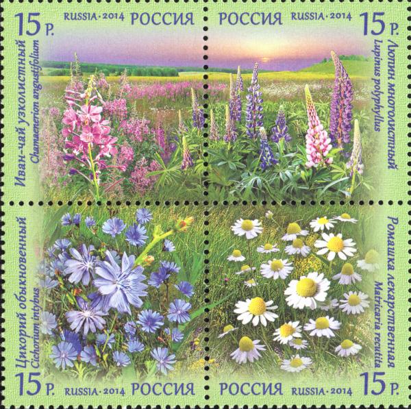 Colnect-2125-306-Flora-of-Russia-Wildflowers.jpg