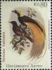 Colnect-4928-484-Greater-Bird-of-Paradise-Paradisaea-apoda.jpg