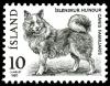 Colnect-1638-369-Islandic-Dog-Canis-lupus-familiaris.jpg