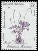 Colnect-3225-209-Ophioglossum-reticulatum.jpg