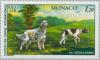 Colnect-148-679-English-Setter-Pointer-Canis-liupus-familiaris.jpg