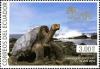 Colnect-2947-579-Pinta-Island-Tortoise-Chelonoidis-nigra-abingdoni-.jpg