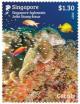 Colnect-4371-227-Corals---Joint-Issue-with-Indonesia.jpg
