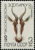 Colnect-6331-210-Bontebok-Damaliscus-pygargus.jpg
