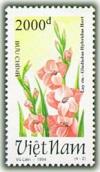 Colnect-1656-468-Salmon-gladioli-Gladiolus-hybridus-Hort.jpg