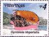 Colnect-2906-959-Imperial-Volute-Cymbiola-imperialis.jpg