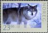 Colnect-503-528-Wolf-Canis-lupus.jpg