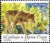 Colnect-676-888-Wolf-Canis-lupus.jpg