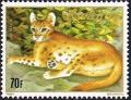 Colnect-2706-171-African-Golden-Cat-Caracal-aurata.jpg