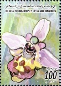 Colnect-5450-698-Violet-yellow-orchid.jpg