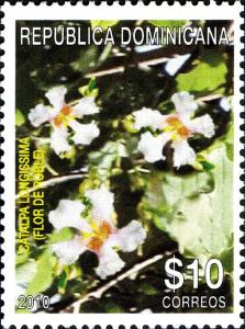 Colnect-1611-156-Tolumnia-variegata.jpg