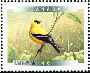 Colnect-1546-248-American-Goldfinch-Carduelis-tristis.jpg